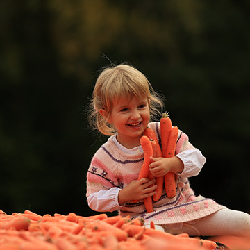 Das Kind auf dem Karottenfeld